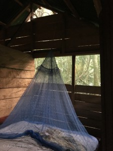 inside cabin in Camp Kongou in Ivindo National Park