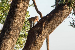 20150603-IMGP4963