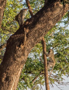 20150603-IMGP4971