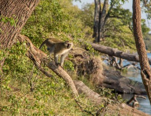 20150603-IMGP4975