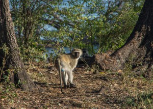 20150603-IMGP4981