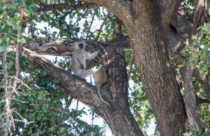 20150603-IMGP4988