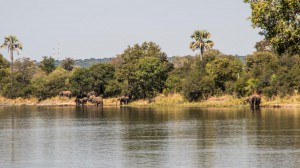 20150603-IMGP4997