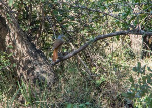 20150603-IMGP5007