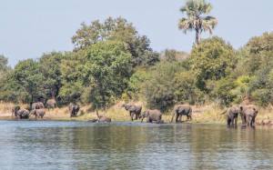 20150603-IMGP5023