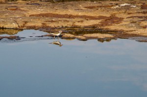 20150604-IMGP5316