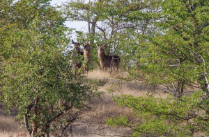 20150604-IMGP5321