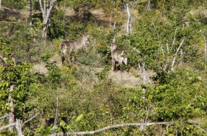 20150604-IMGP5457